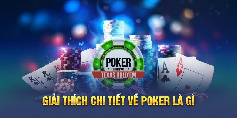 Hổ May Mắn Lucky Tiger Fortune Slot Game Hổ May Mắn Lucky Tiger Fortune Slot Game
